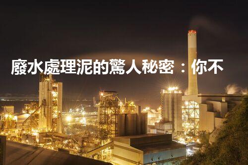 廢水處理泥的驚人秘密：你不明白的環(huán)保新突破！